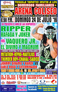 source: http://cmll.com/wp-content/uploads/2015/04/gdl21.jpg