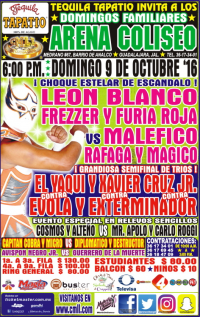 source: http://cmll.com/wp-content/uploads/2015/04/gdl10.jpg