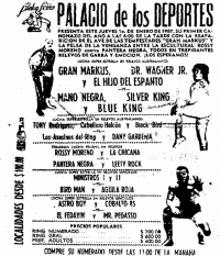 source: http://www.thecubsfan.com/cmll/images/cards/1985Laguna/19870101palacio.png