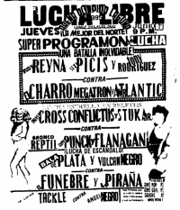 source: http://www.thecubsfan.com/cmll/images/cards/1990Laguna/19950601aol.png