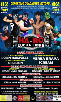 source: http://www.luchaworld.com/wordpress/wp-content/uploads/2019/05/ha-ro-lucha-libre-060219.jpg